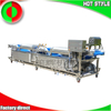Commercial customized vegetable cleaning machine celery salad non-destructive lifting spray fruit bubble washing machine food machinery