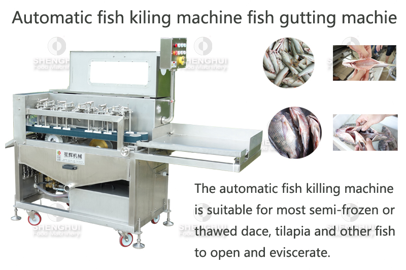 Automatic fish killing machine fish gutting machine fish visceral