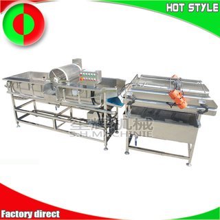 Commercial ozone vegetable and fruit cleaning line equipment